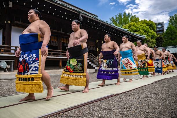 横綱の決まり手に見る力士たちの技と戦略の進化 横綱の決まり手