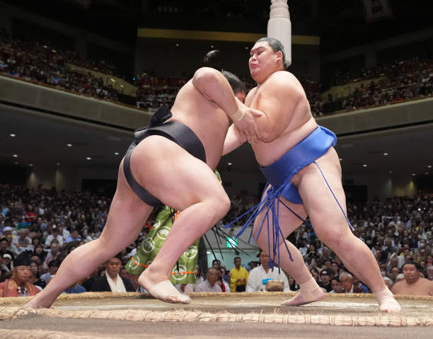 稀勢の里、引退後の新たな挑戦と未来への展望 稀勢の里