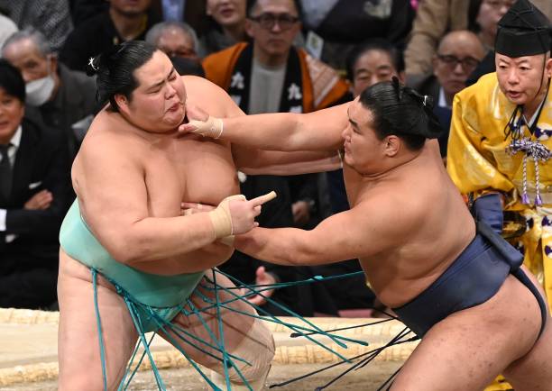 大相撲の優勝決定戦、白鵬と鶴竜の激闘が繰り広げられた歴史的瞬間 大相撲の優勝決定戦